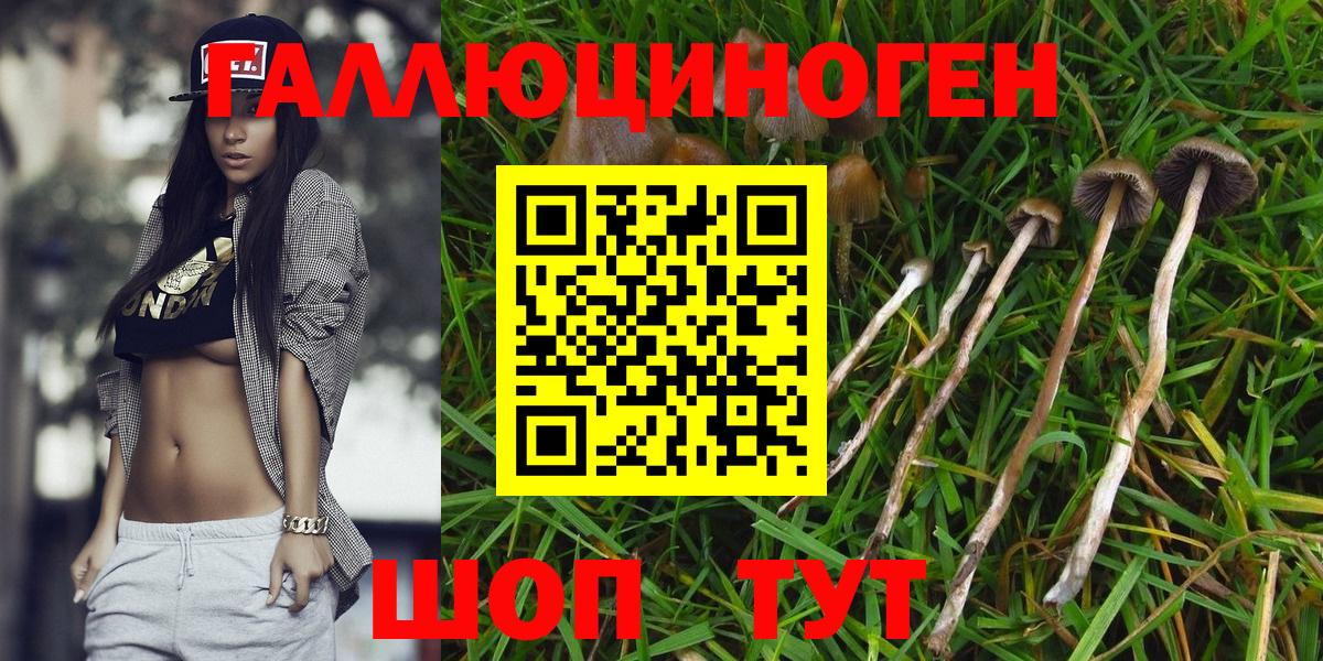 Меф мяу мяу Карачаевск
